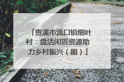 贵溪市流口镇细叶村：盘活闲置资源助力乡村振兴（图）