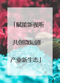 赋能新视听 共创微短剧产业新生态