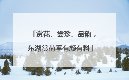 赏花、尝珍、品韵，东湖赏荷季有颜有料