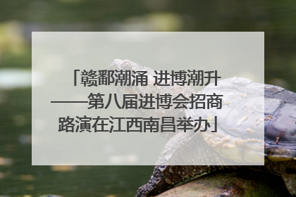 赣鄱潮涌 进博潮升——第八届进博会招商路演在江西南昌举办
