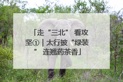 走“三北” 看攻坚①｜太行披“绿装” 连翘药茶香