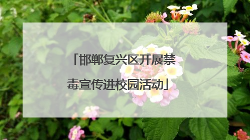 邯郸复兴区开展禁毒宣传进校园活动