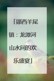 郧西羊尾镇：龙潭河山水间的欢乐盛宴
