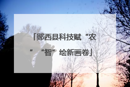 郧西县科技赋“农”“智”绘新画卷