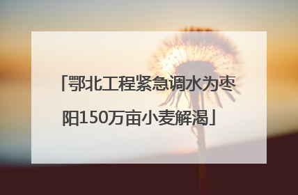 鄂北工程紧急调水为枣阳150万亩小麦解渴