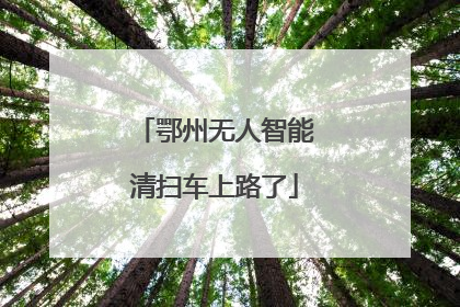 鄂州无人智能清扫车上路了