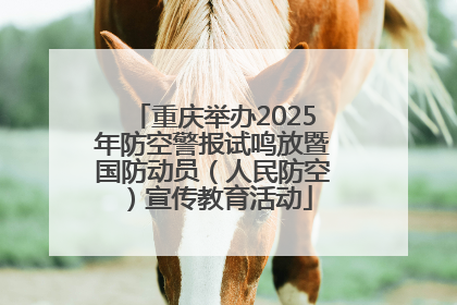 重庆举办2025年防空警报试鸣放暨国防动员（人民防空）宣传教育活动