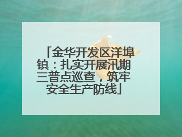 金华开发区洋埠镇：扎实开展汛期三普点巡查，筑牢安全生产防线