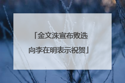 金文洙宣布败选 向李在明表示祝贺