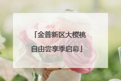 金普新区大樱桃自由尝享季启幕