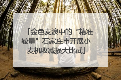 金色麦浪中的“精准较量”石家庄市开展小麦机收减损大比武