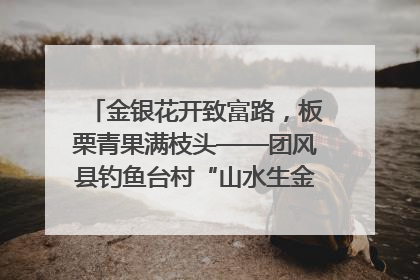 金银花开致富路，板栗青果满枝头——团风县钓鱼台村“山水生金”谱写共富新篇章
