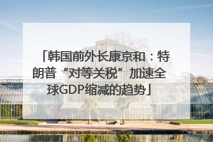 韩国前外长康京和：特朗普“对等关税”加速全球GDP缩减的趋势