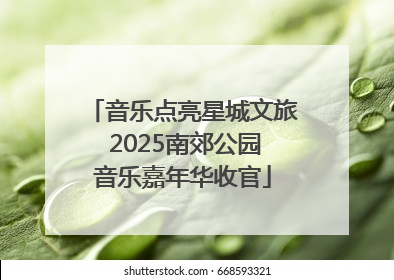 音乐点亮星城文旅 2025南郊公园音乐嘉年华收官