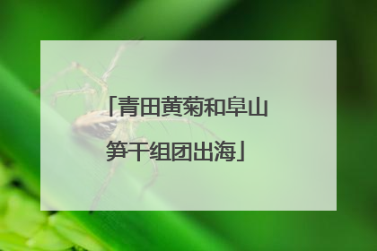 青田黄菊和阜山笋干组团出海