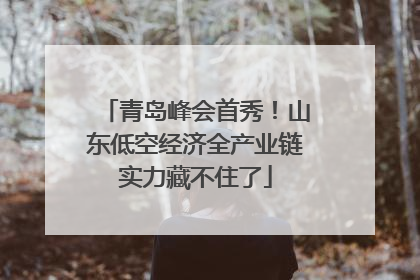 青岛峰会首秀！山东低空经济全产业链实力藏不住了