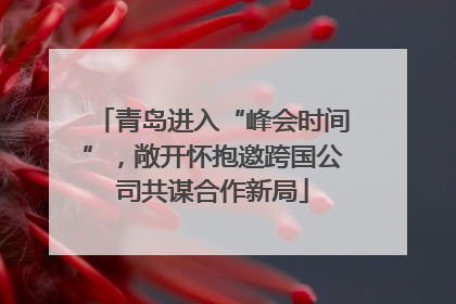 青岛进入“峰会时间”，敞开怀抱邀跨国公司共谋合作新局