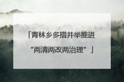 青林乡多措并举推进“两清两改两治理”