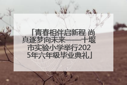 青春相伴启新程 尚真逐梦向未来——十堰市实验小学举行2025年六年级毕业典礼