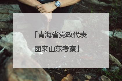 青海省党政代表团来山东考察