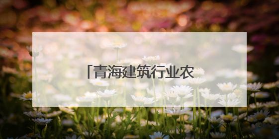 青海建筑行业农民工同台赛技能