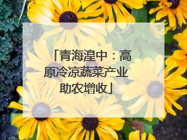 青海湟中：高原冷凉蔬菜产业助农增收
