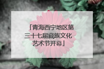 青海西宁地区第三十七届藏族文化艺术节开幕