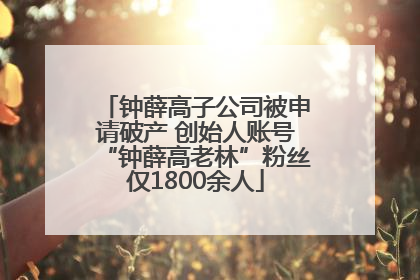 钟薛高子公司被申请破产 创始人账号“钟薛高老林”粉丝仅1800余人