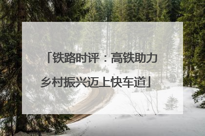 铁路时评：高铁助力乡村振兴迈上快车道