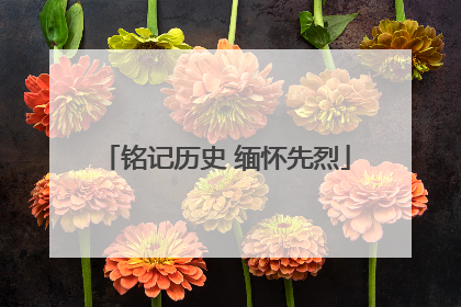 铭记历史 缅怀先烈