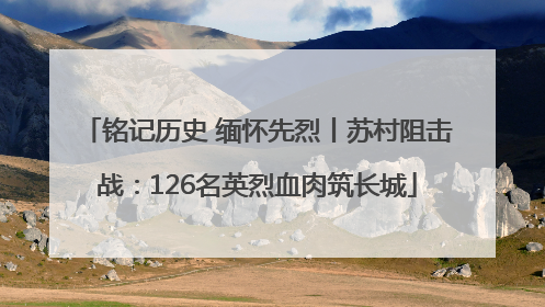 铭记历史 缅怀先烈丨苏村阻击战：126名英烈血肉筑长城