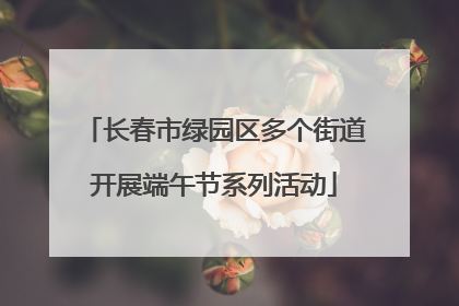 长春市绿园区多个街道开展端午节系列活动