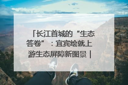 长江首城的“生态答卷”：宜宾绘就上游生态屏障新图景｜中华环保世纪行