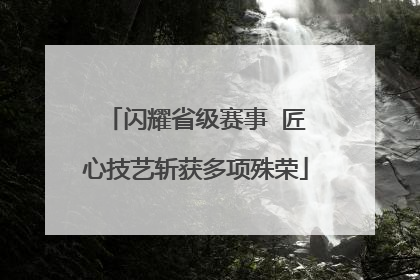 闪耀省级赛事  匠心技艺斩获多项殊荣