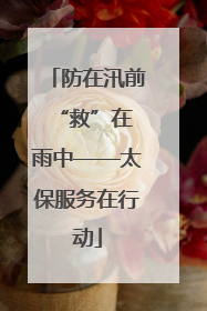 防在汛前 “救”在雨中——太保服务在行动