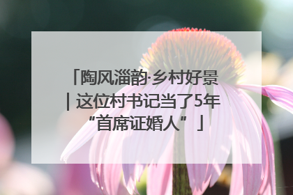 陶风淄韵·乡村好景｜这位村书记当了5年“首席证婚人”