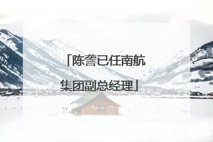 陈詟已任南航集团副总经理