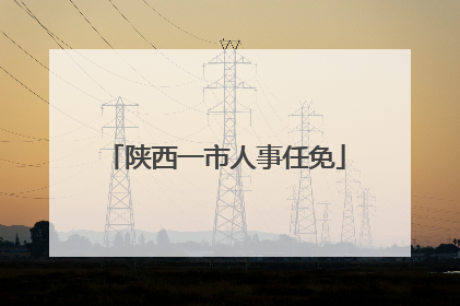 陕西一市人事任免
