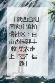 陕西合阳同家庄镇柏瑞社区：百亩杏园迎丰收 果农走上“杏”福路