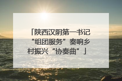 陕西汉阴第一书记“组团服务”奏响乡村振兴“协奏曲”