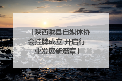 陕西陇县自媒体协会挂牌成立 开启行业发展新篇章