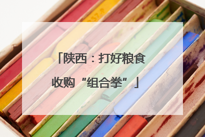 陕西：打好粮食收购“组合拳”