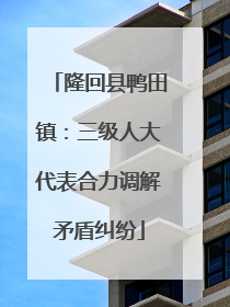 隆回县鸭田镇：三级人大代表合力调解矛盾纠纷
