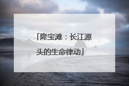 隆宝滩：长江源头的生命律动