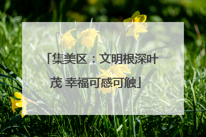 集美区：文明根深叶茂 幸福可感可触