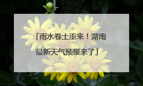 雨水卷土重来！湖南最新天气预报来了