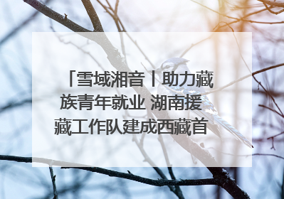 雪域湘音丨助力藏族青年就业 湖南援藏工作队建成西藏首个清洁能源装备园