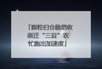 颗粒归仓稳增收 宿迁“三夏”农忙跑出加速度