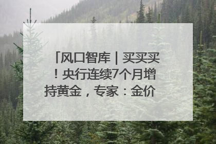 风口智库｜买买买！央行连续7个月增持黄金，专家：金价或仍易涨难跌