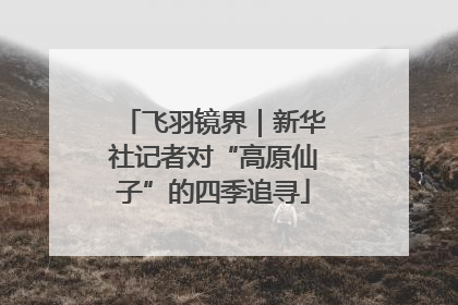 飞羽镜界｜新华社记者对“高原仙子”的四季追寻
